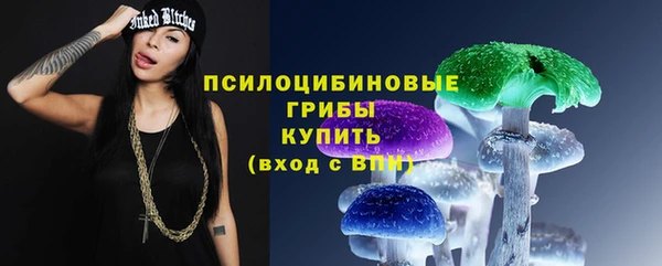 хмурый Пестово