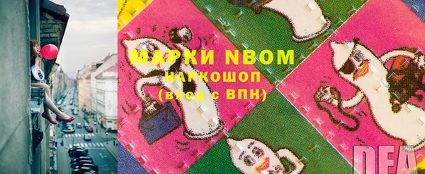 хмурый Пестово