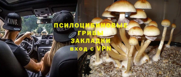 2c-b Переславль-Залесский