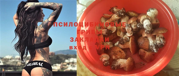 хмурый Пестово