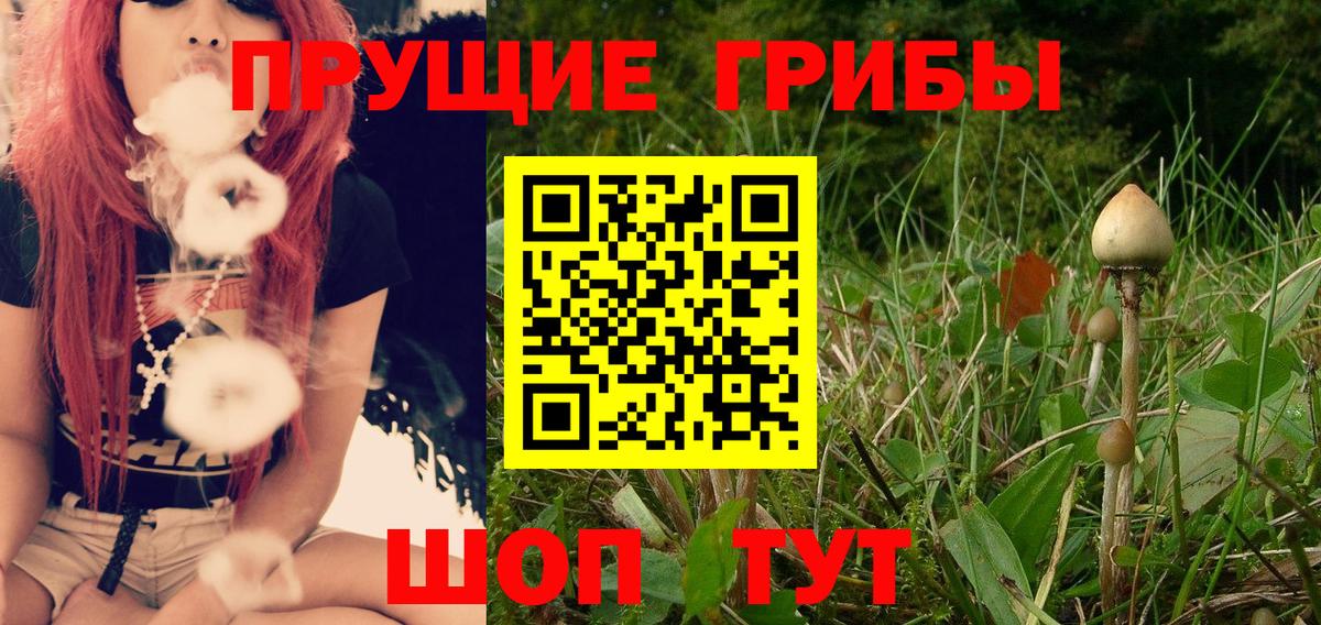Галлюциногенные грибы Cubensis  Вход с VPN  Псилоцибиновые грибы мицелий  Верхняя Салда 