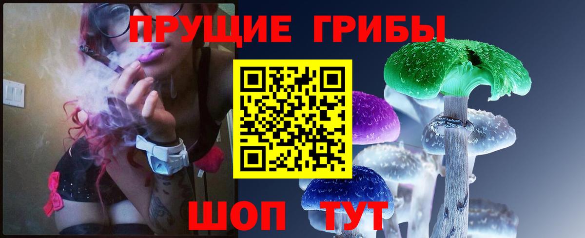 Псилоцибиновые грибы Cubensis  Верхняя Салда 