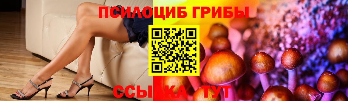 Галлюциногенные грибы мухоморы Верхняя Салда